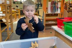 Afbeelding-van-WhatsApp-op-2025-11-06-om-17.14.59_3b57faef