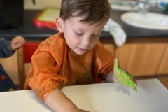 IMG_8237