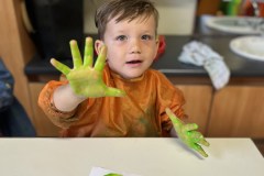 IMG_8239