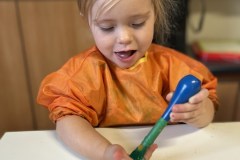 IMG_8245