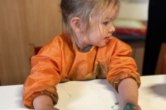 IMG_8260