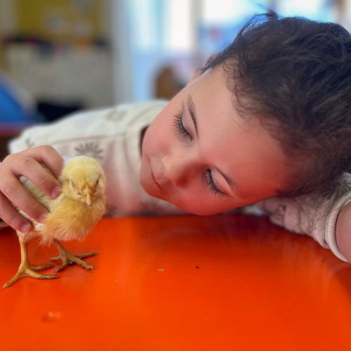 Lente in de klas