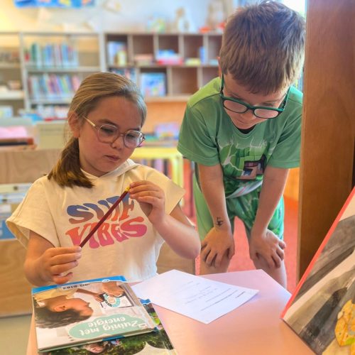 Op speurtocht tussen boeken