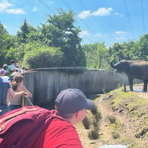 Schoolreis naar Dierenrijk