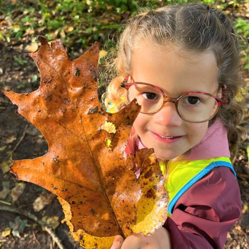 Speurneuzen in het herfstbos