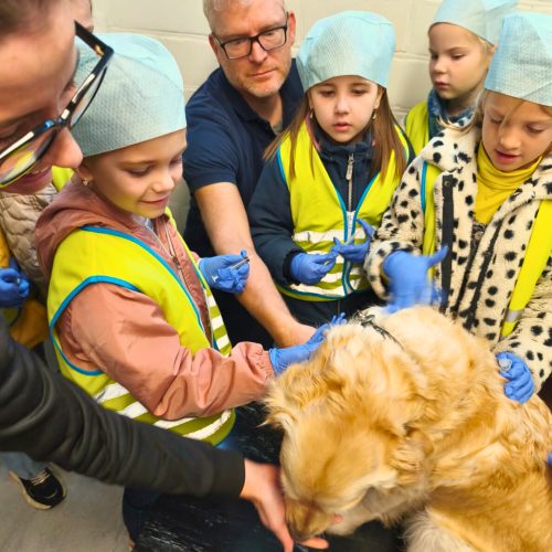 Dierenarts voor een dag