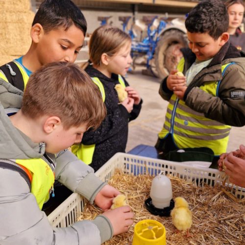 Binnen bij boeren